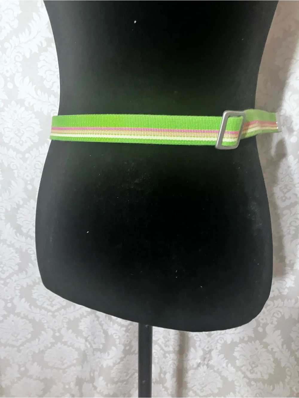 J Crew green and pink striped fabric belt metallic D-ring closure - Picture 8 of 9